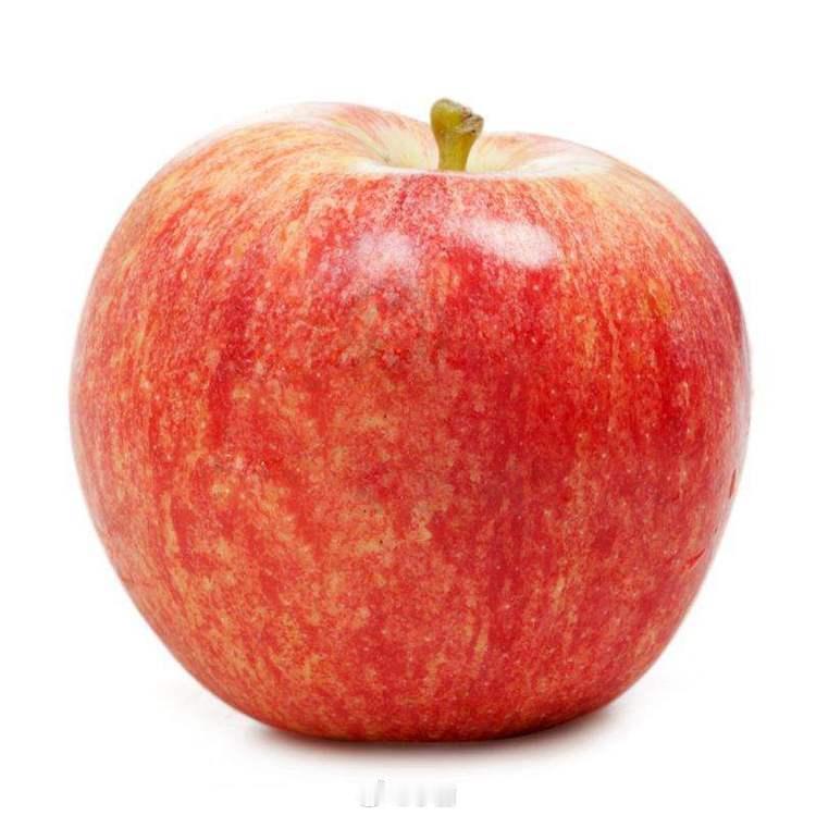 iPhone首款折叠屏手机正式发布 新CEO特努斯第一把火就烧到折叠屏，确实比库