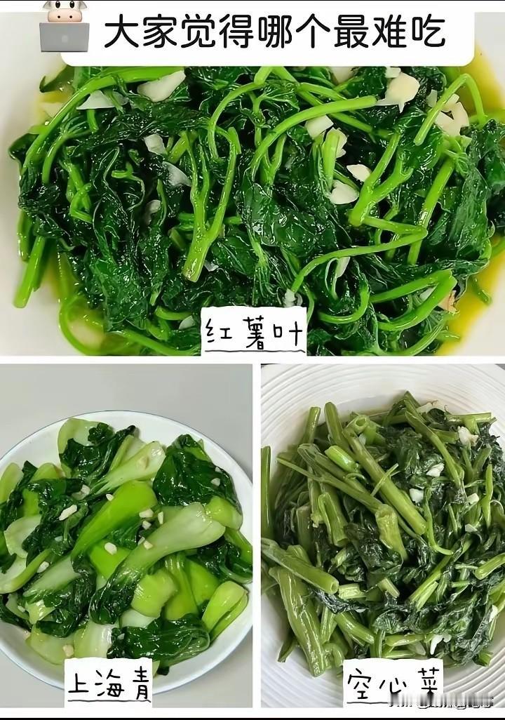 别人怎么选我不知道，反正我不喜欢吃上海青