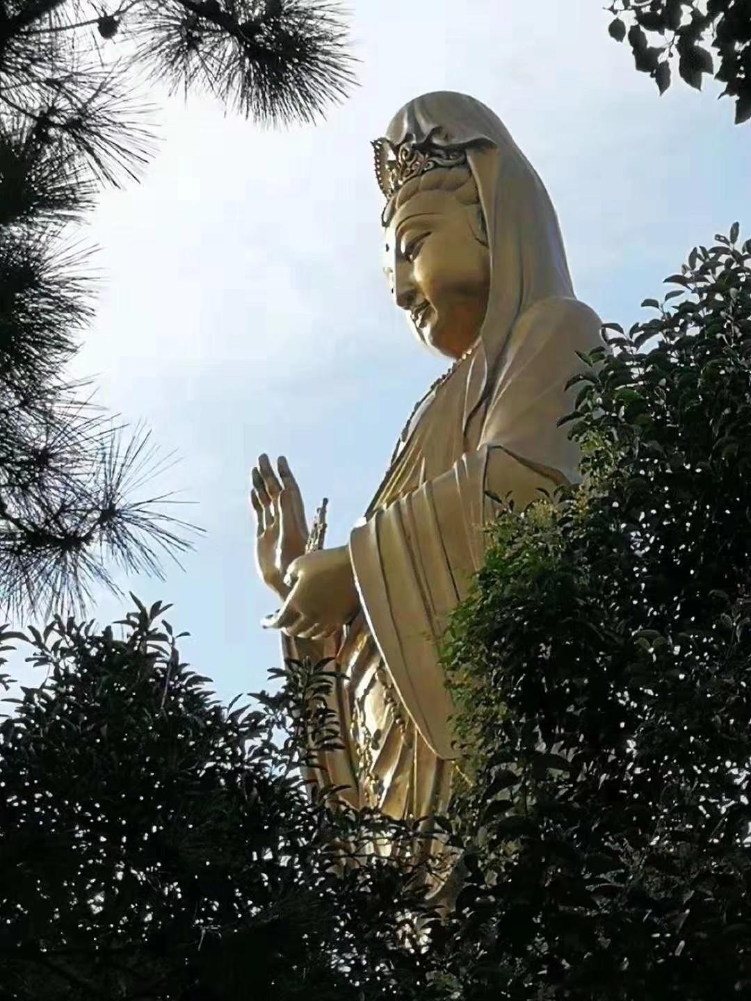 周末安康，A股伙伴们🌺恰逢月圆十五，诚心拜三拜🙏愿运势顺遂，福运常伴✨持仓稳