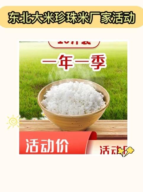 东北大米珍珠米厂家活动！每粒米都充满春天的味道，一年一季的收获，让你的饭菜更加美