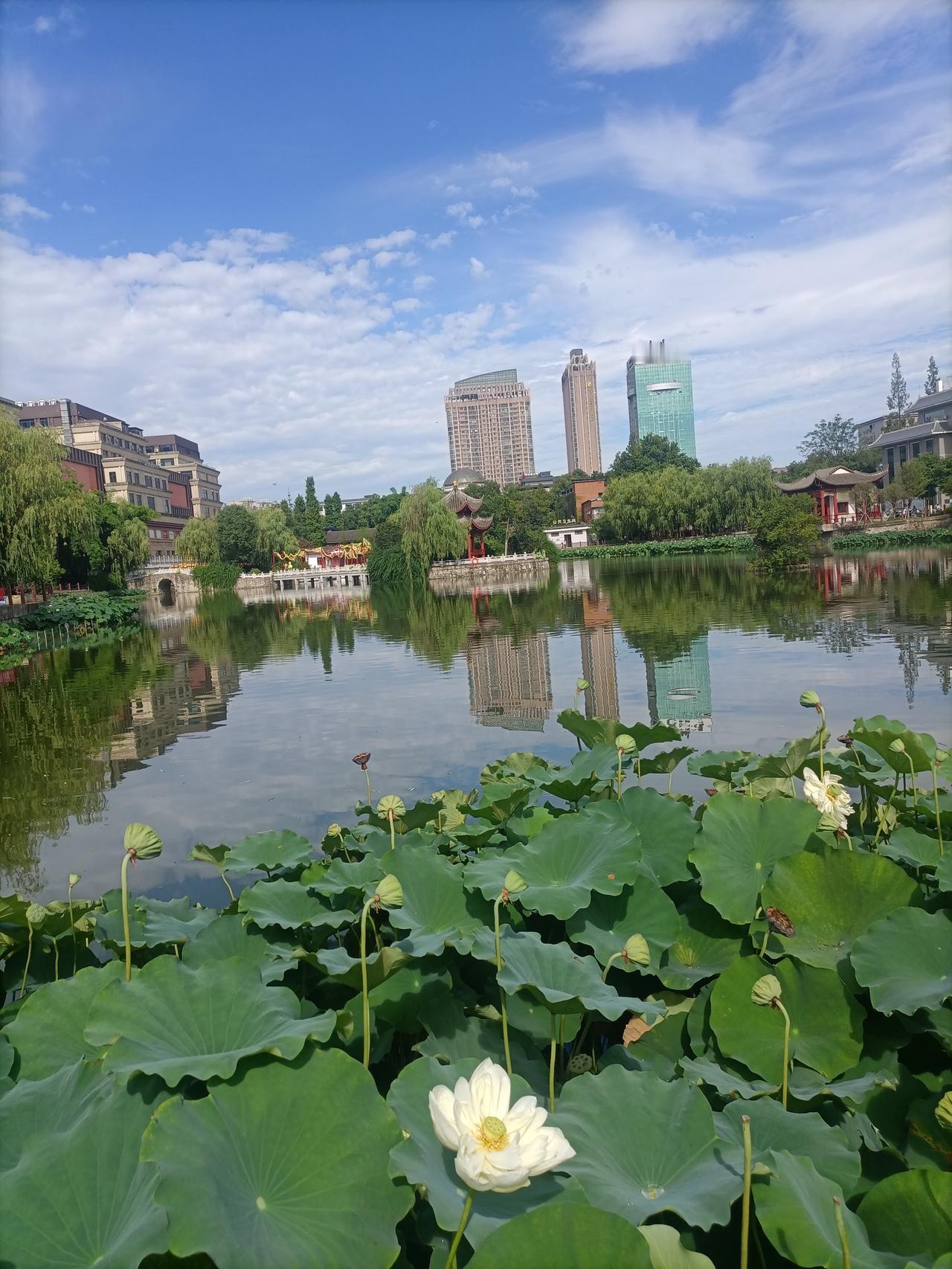 【夏之韵·酷热天气读古诗】夏日生活打卡季
《天净沙·即事》
元・乔吉
莺莺燕燕春