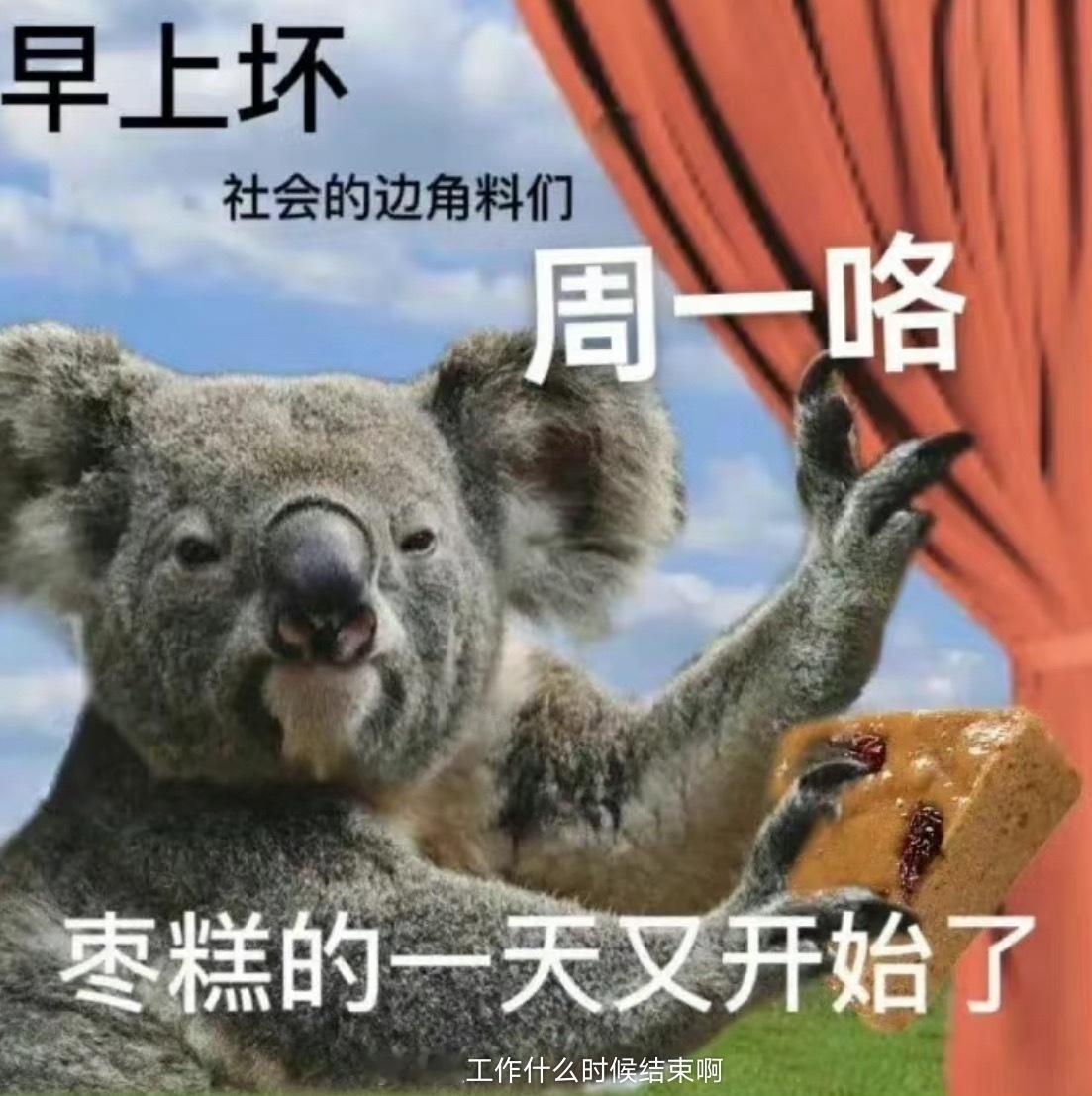 [老师好]难熬周一咯～ ​​​