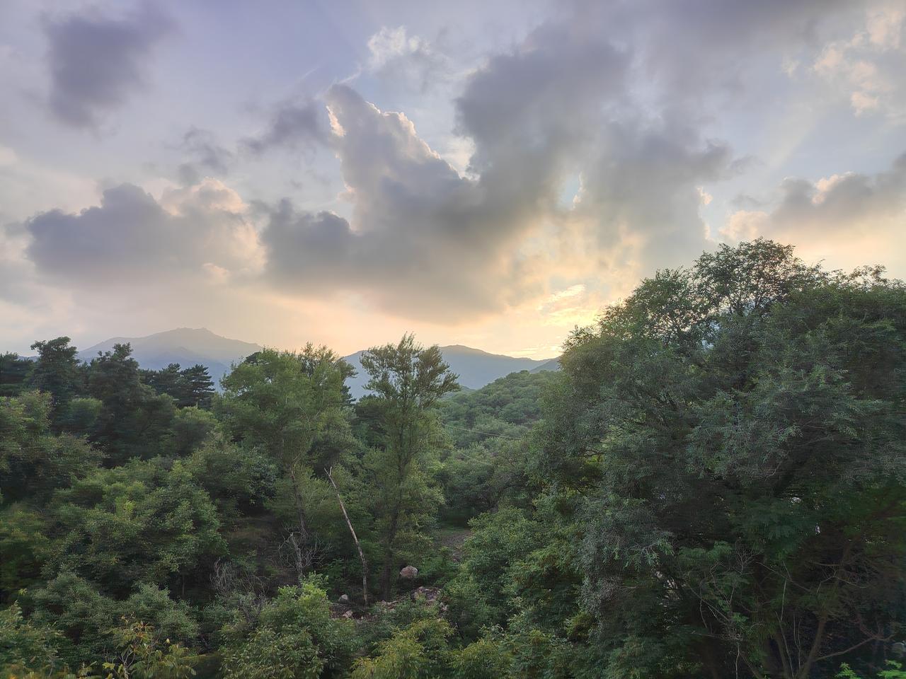 夏日生活打卡季阳光洒在肩头，不疾不徐地照亮前行的路，提醒我们珍惜此刻的温热与安宁