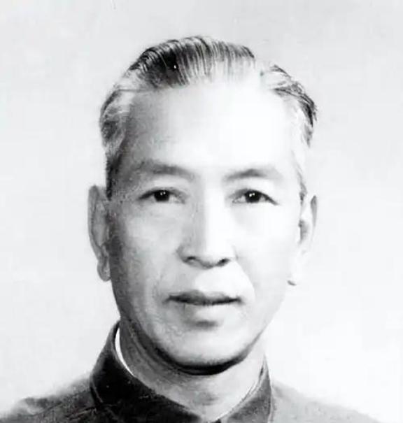 1969年，耿飚站在阿尔巴尼亚的田埂上，看着那些本应滋养土地的化肥包装袋在雨水中