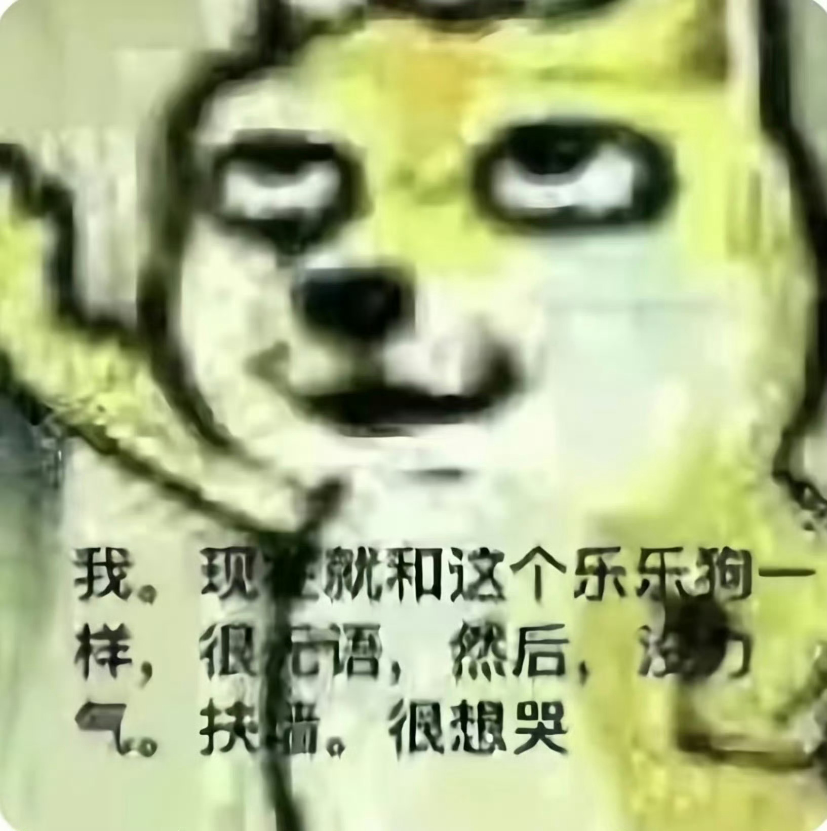 分享图片 