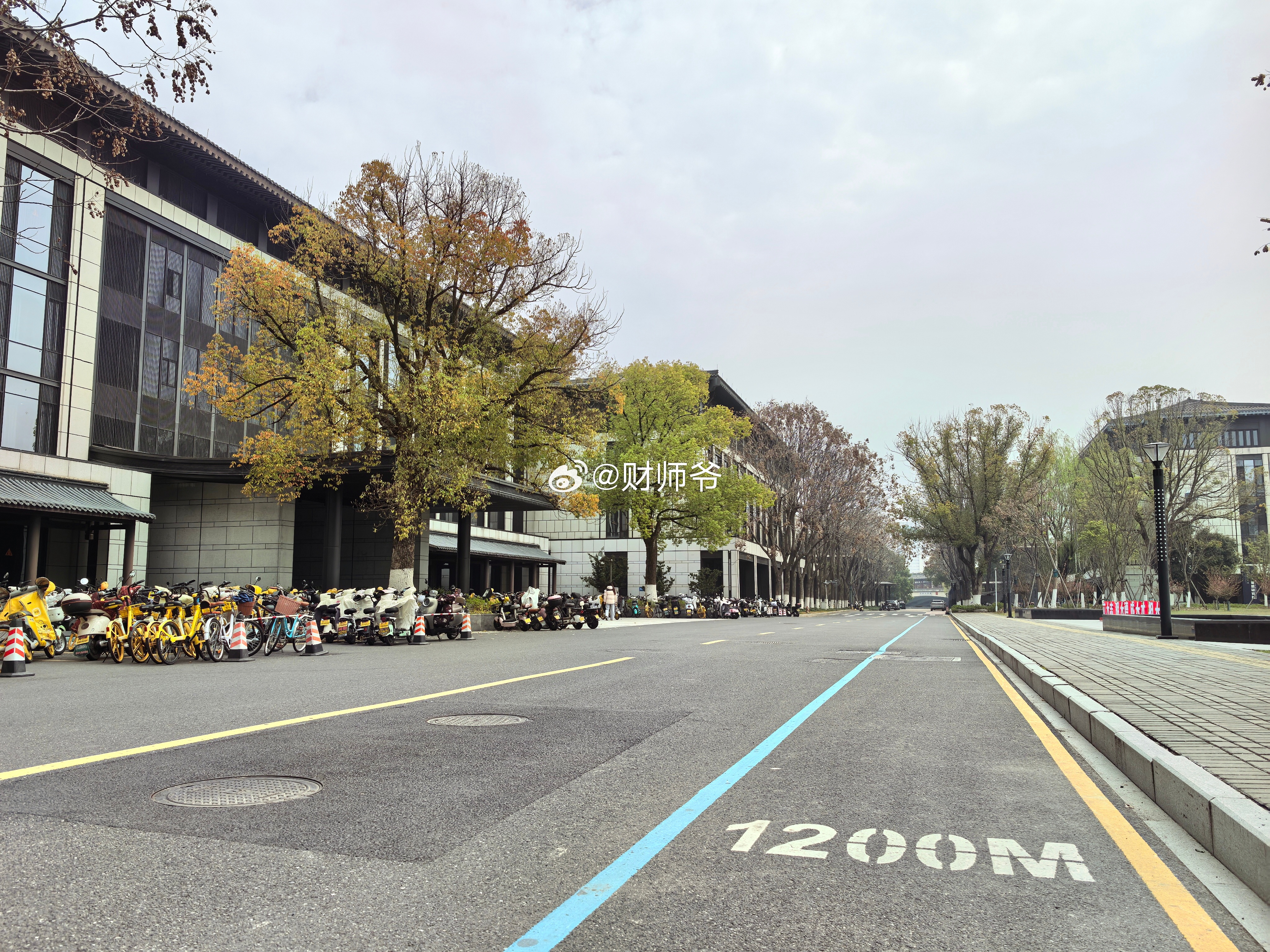 作为绍兴人，这一刻，我们都泪目了，等了整整30年！欢迎全国各地的学子们报考绍兴大