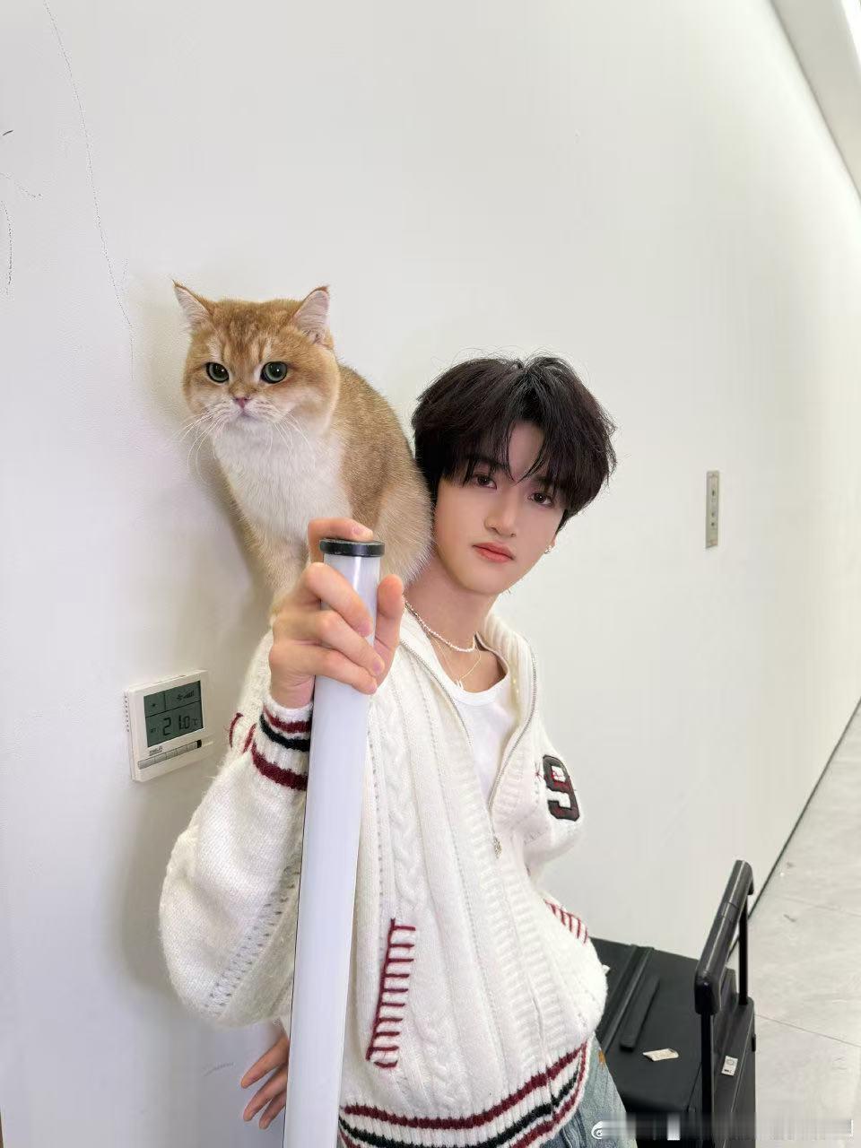 邓佳鑫带小猫上班 佳鑫带十九去公司上班啦～两只萌猫！ 