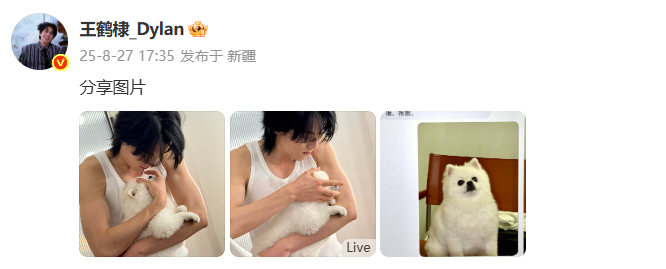 王鹤棣晒狗狗王鹤棣风波后首发博 王鹤棣录音风波后首发博晒狗狗。 ​​​