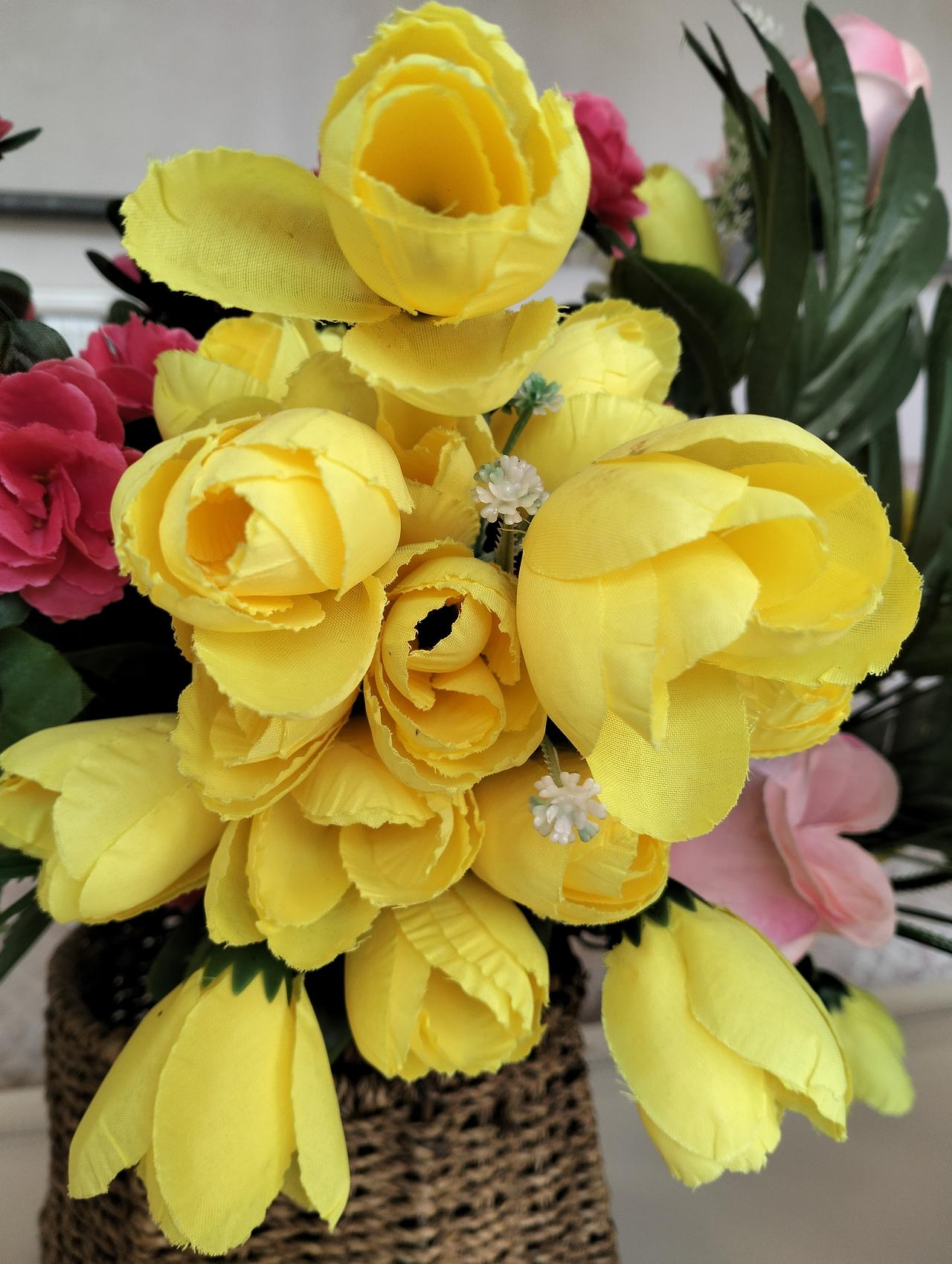 婶子知道自己的食道癌没治了，在医院再继续耗下去，结果只能人财两空，婶子要求回家，