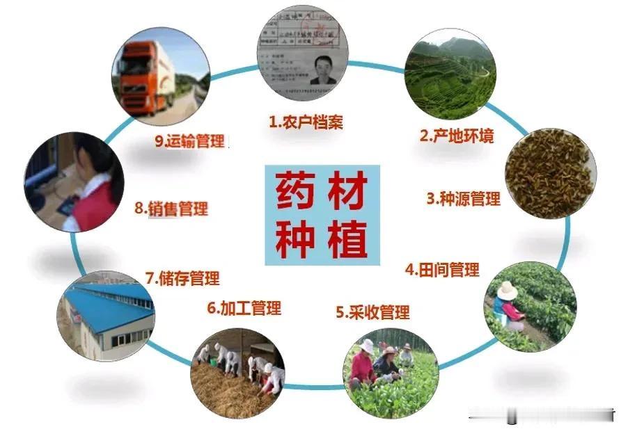 中药饮片全流程追溯，普通饮片将淘汰！

中药集采工作已全面展开，并开始向中药配方