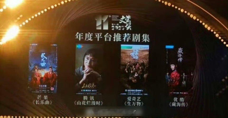 文荣奖年度四大平台推荐剧集，你觉得哪部最强[疑问]我只看过其中两部🥭丁禹兮《长