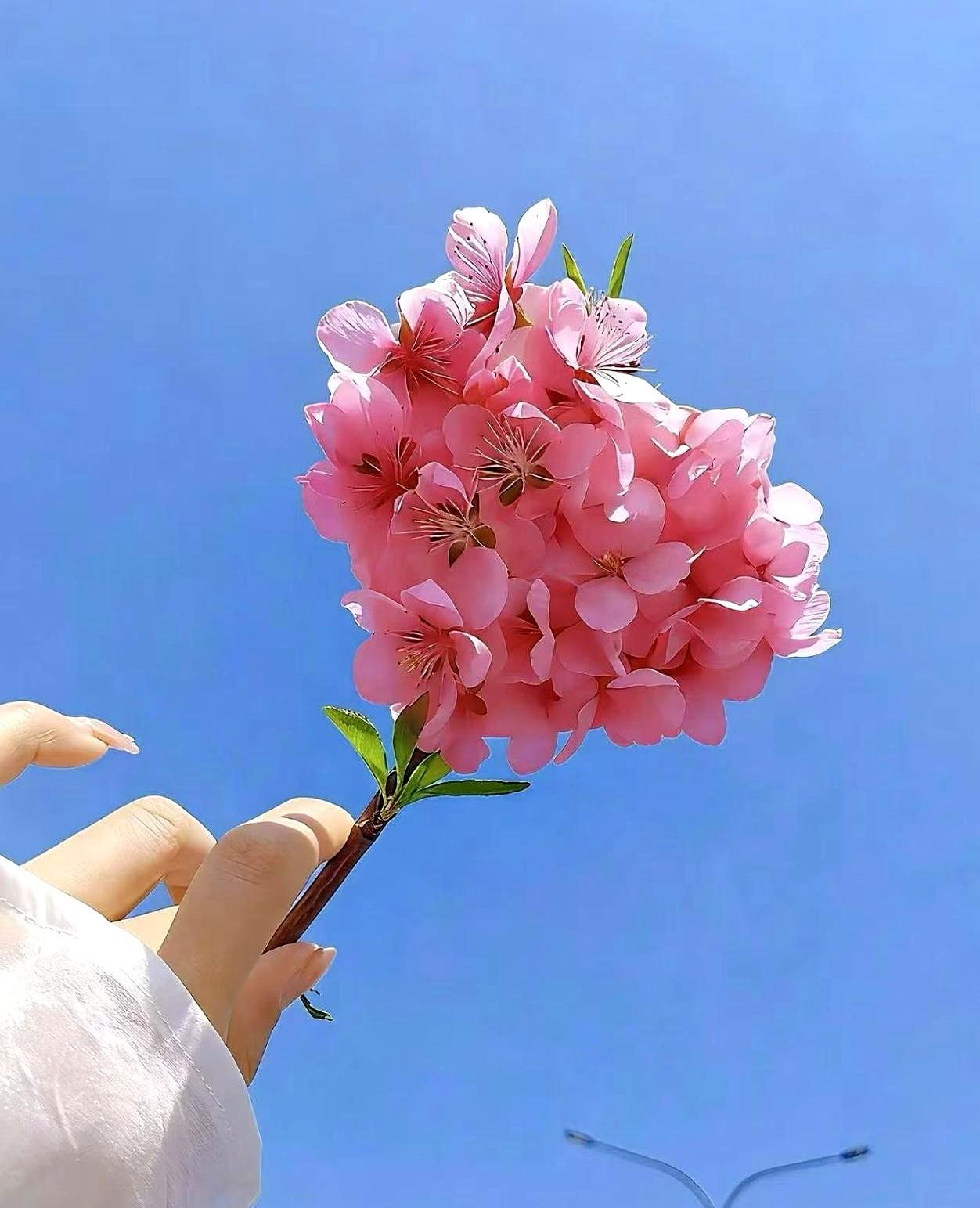 看到身边不少精英朋友，把养孩子搞得像搞科研，每天盯着时间表，生怕孩子慢半拍。
结