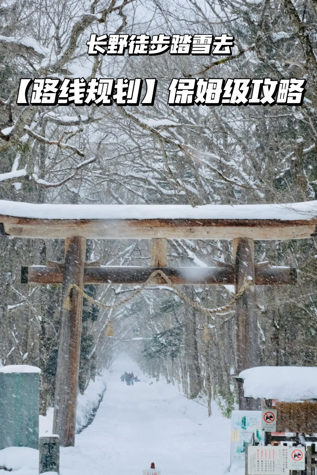 2024旅行结算 | 长野雪地徒步必须上榜❗️