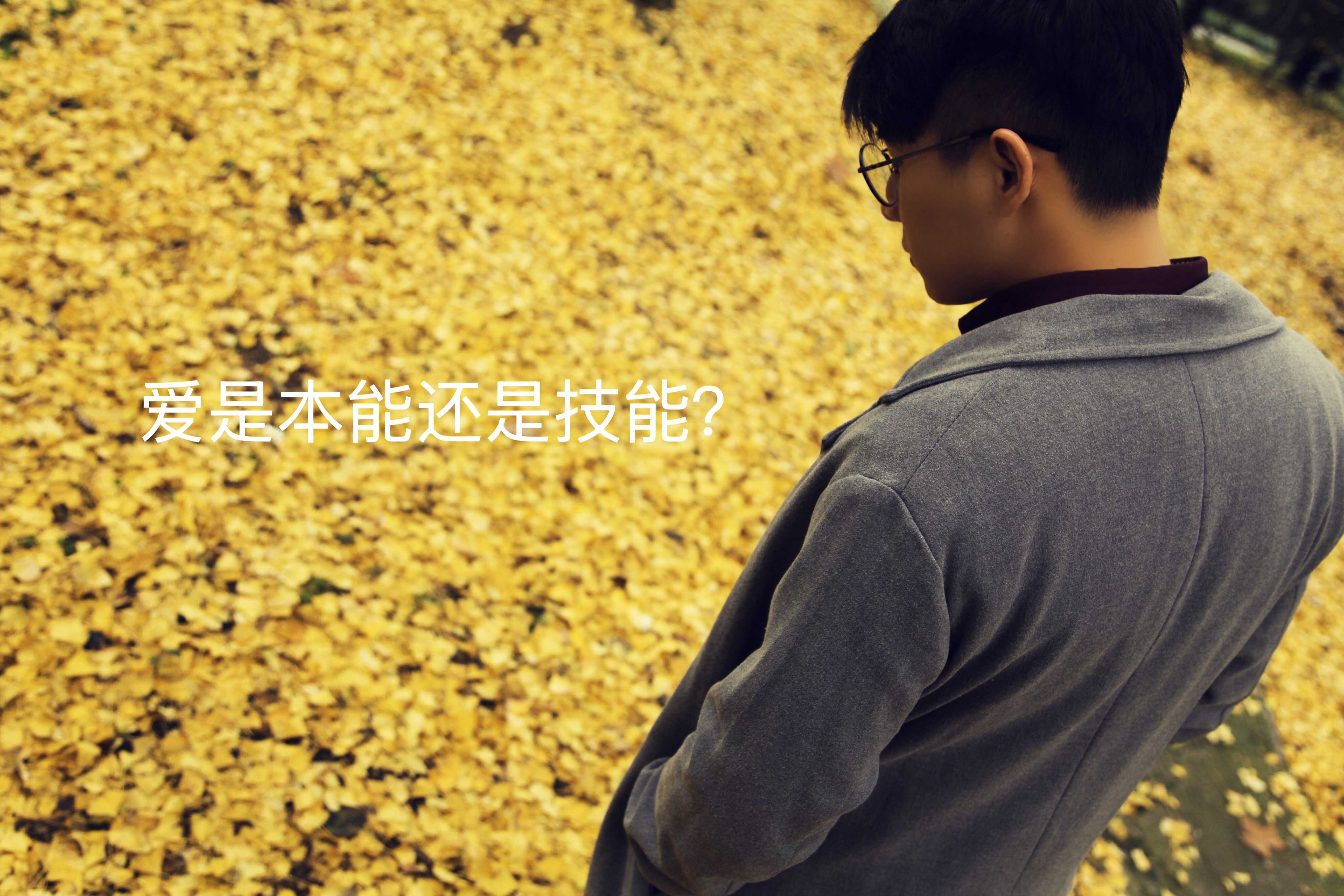 爱是天赋本能还是后天技能如余华老师所说，爱是极少数人才拥有的能力，能够付出爱的人
