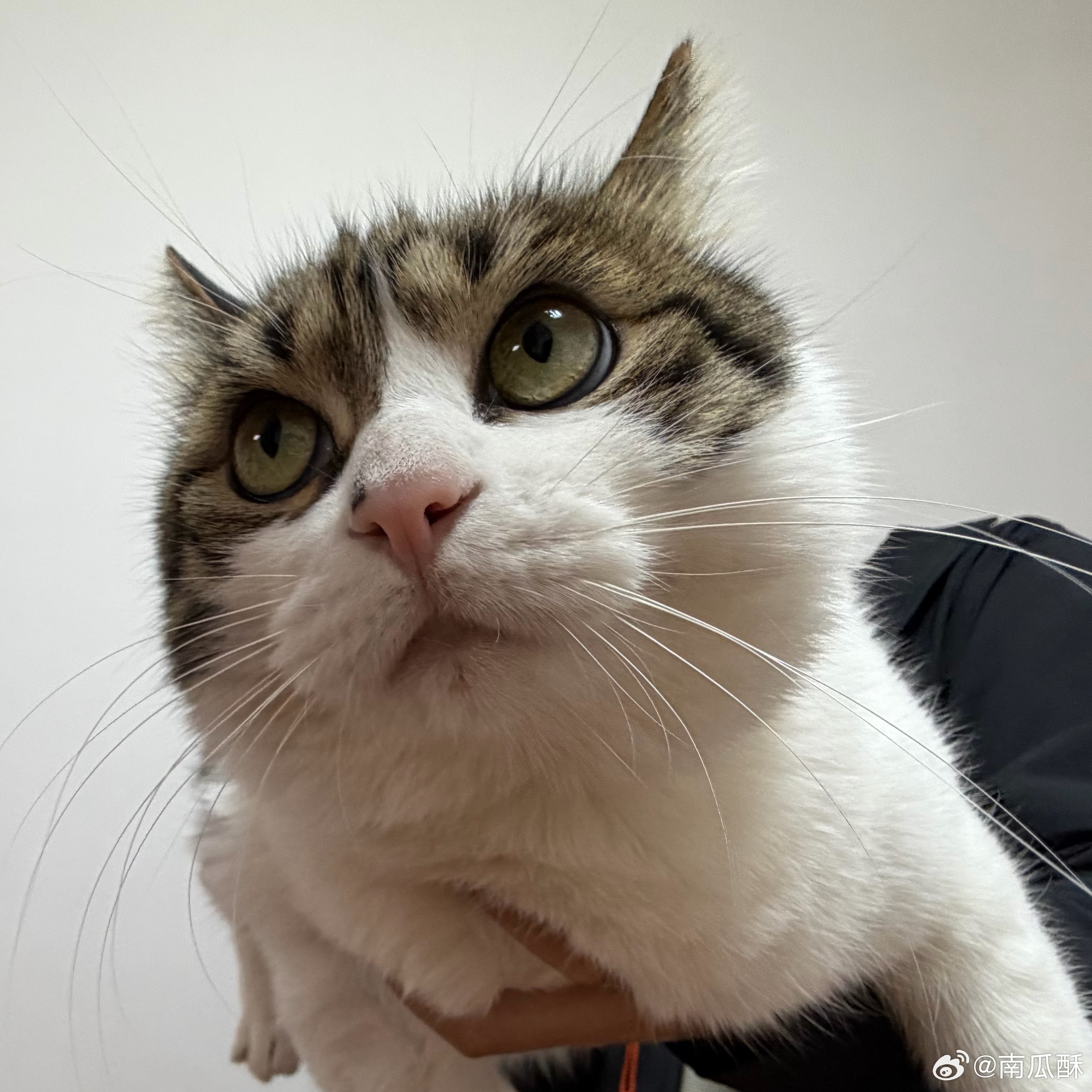 大赢学时代。人有我无，没意义。人无我有，我无敌。 