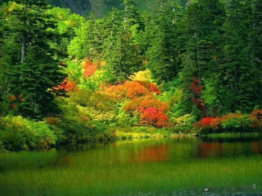 偶感：
人生难掩癫狂事，
羞事总是被人诱。
花花草草随风舞，
情不自禁风捉弄。