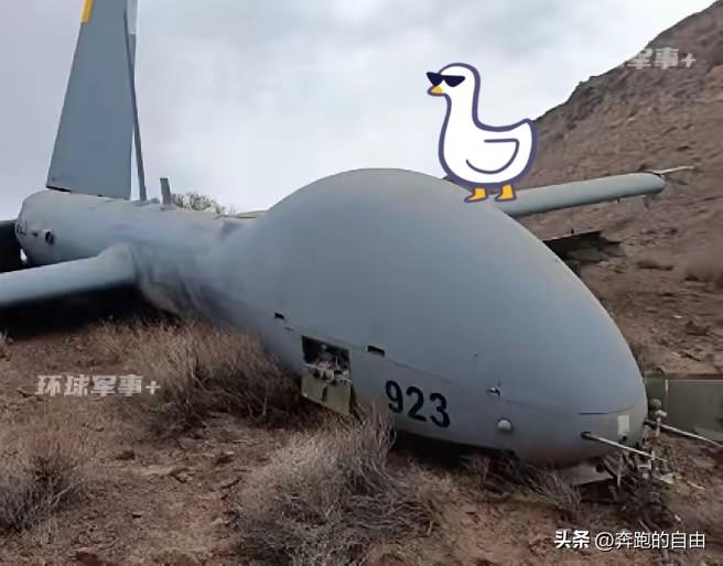 太解气！伊朗简直杀疯了，不费一枪一弹、不损一兵一卒，直接“绑架”以色列王牌赫尔墨