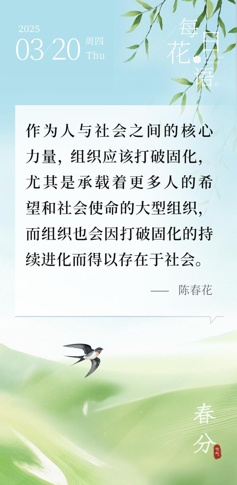 作为人与社会之间的核心力量，组织应该打破固化，尤其是承载着更多人的希望和社会使命