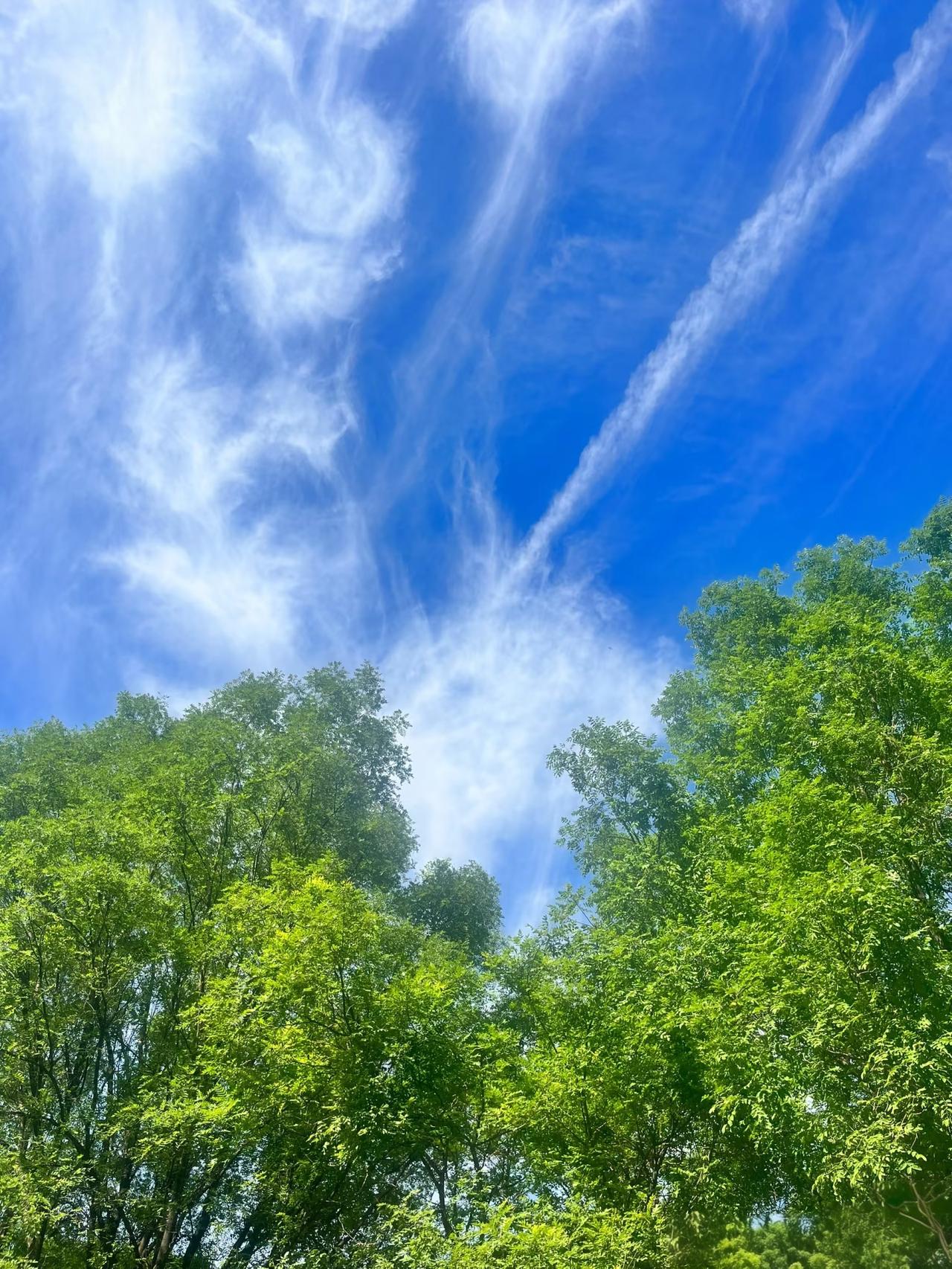 人的一生最大的财富是什么?人生最大的财富，不是存款与名利，而是健康的身体、安稳的