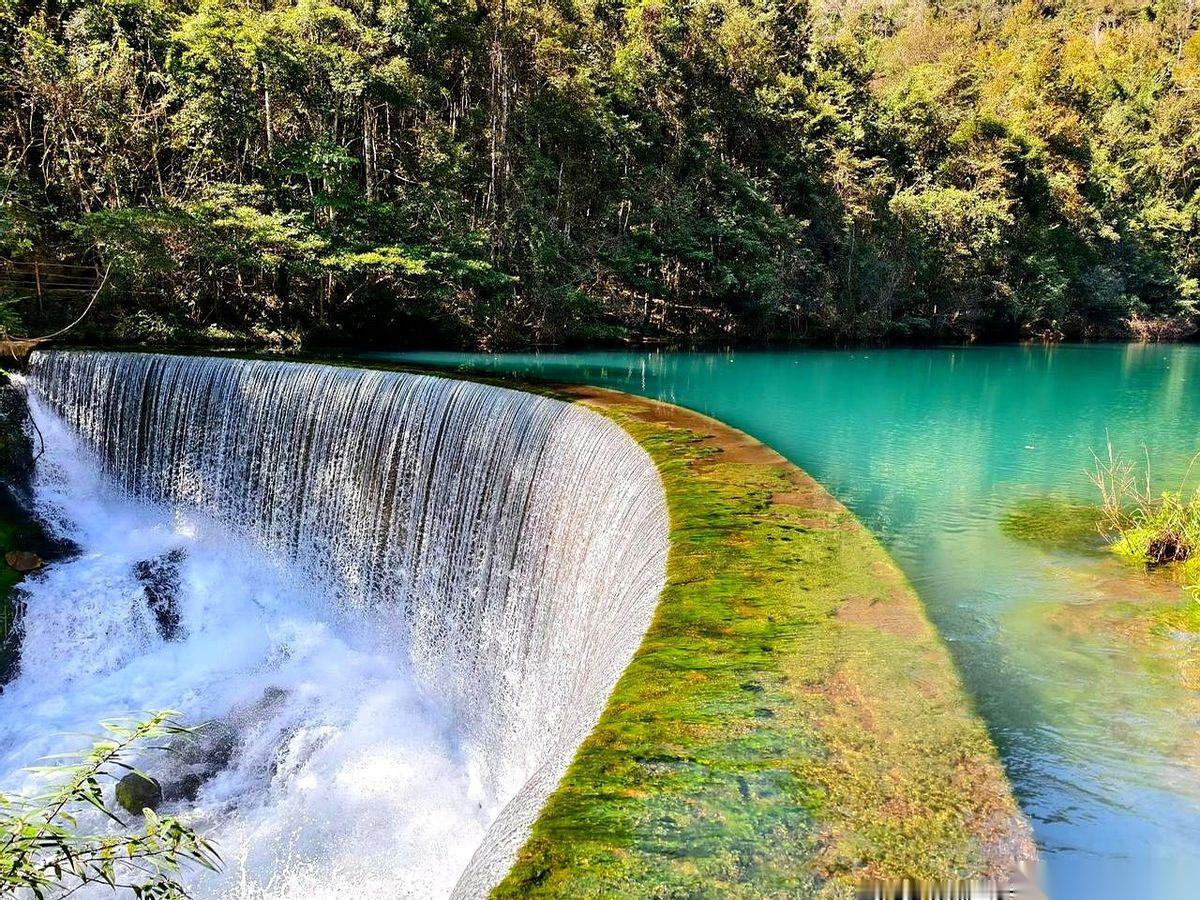 我今天突然想通了一件事儿。
人，从嘴巴到屁股，不就是根管子吗？
造物主给你设计成