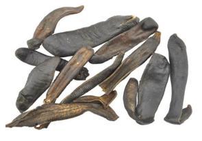 恩师弥留之际，告诉我：脑梗，其实是气虚了！后来我才明白：那些没有良心的医生，比强