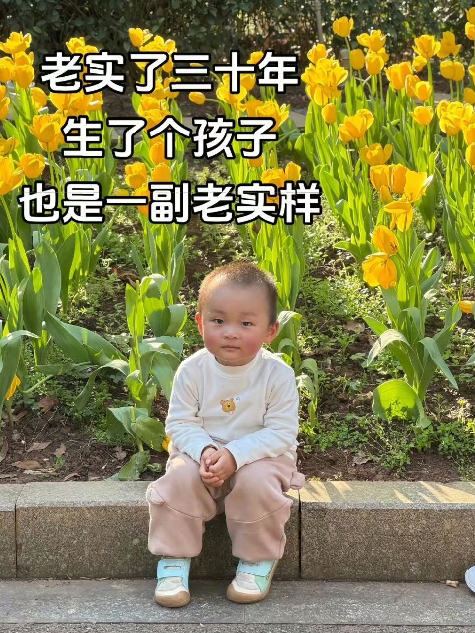 怪不得都说谁养的像谁 