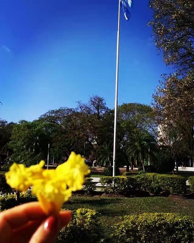 把2025年写进回忆，然后继续前行…新的一年继续做自己喜欢的事家人爱人身体健康平