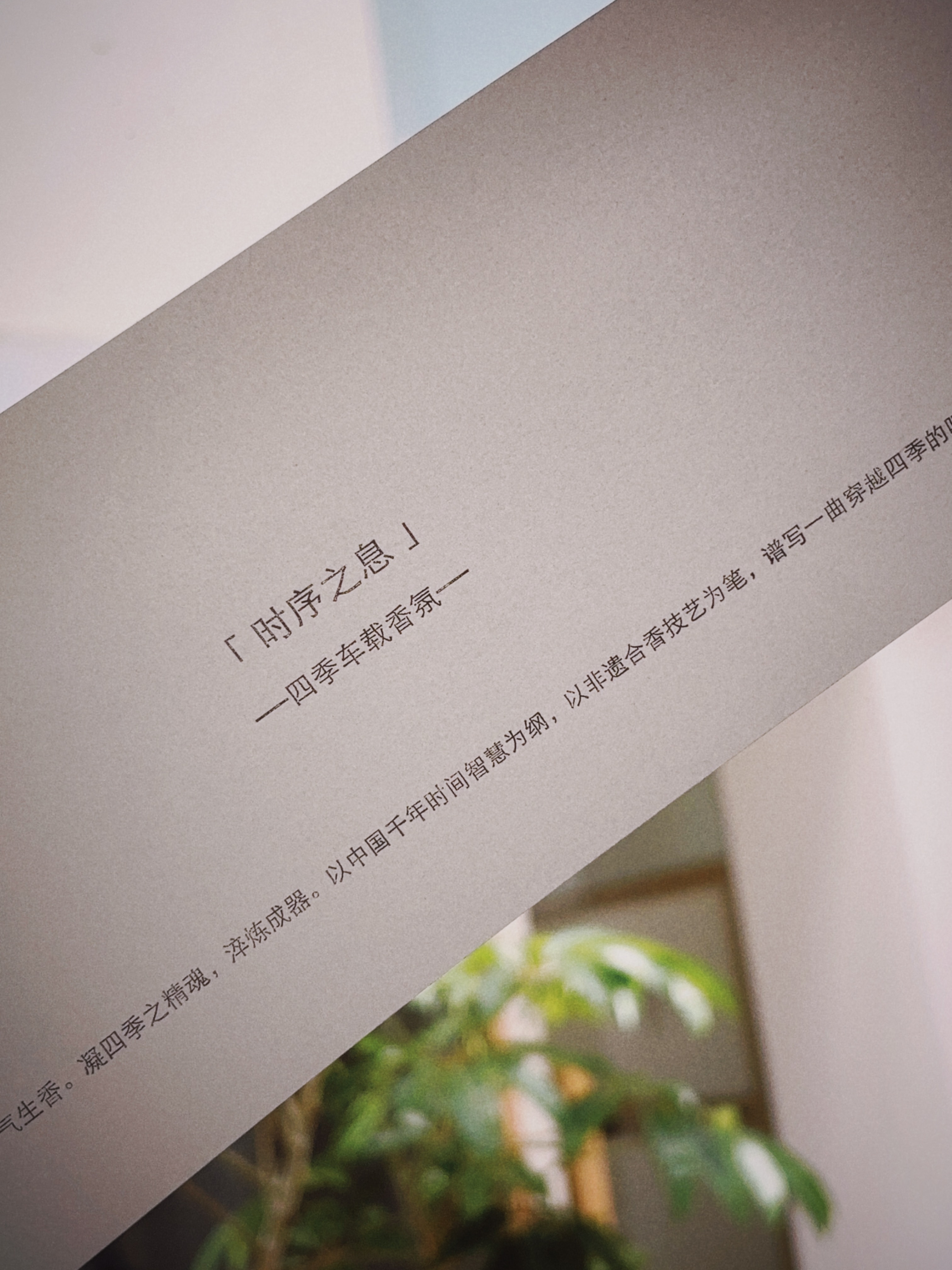 四季主题，宝马送的车载香薰！我的日常plog