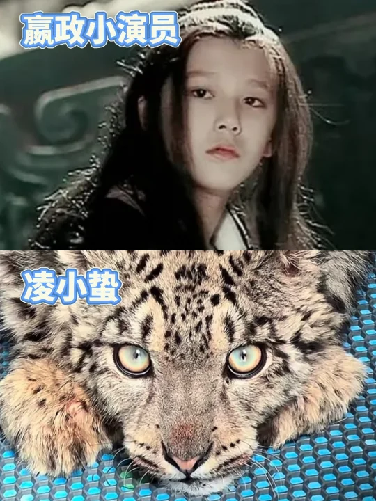 人和动物怎么会有这么相似的气质……