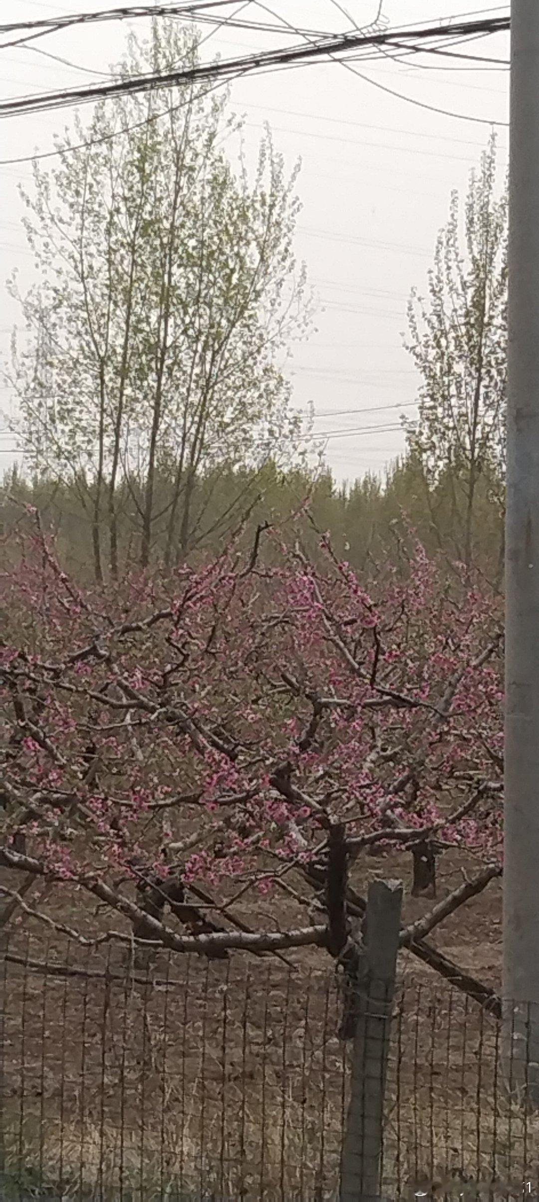 每日一善 每日一善 阳光信用 不要吝啬你的笑容，不要隐藏你的善良，记住卡耐基这一