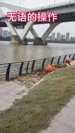 太无语了！对得起拿到手的工资吗？


一场洪水过后，河里的垃圾被冲上岸，两名女环