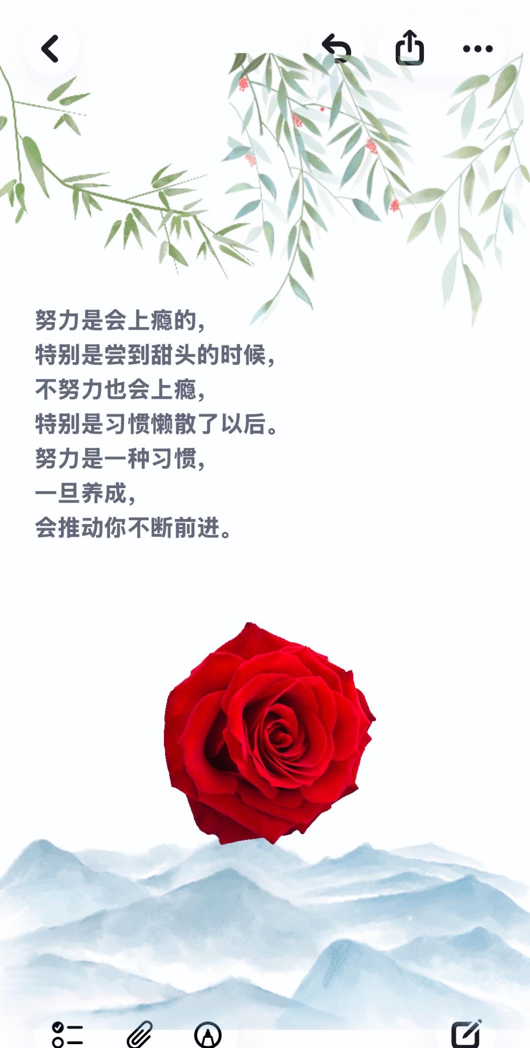 发作品上热门 治愈系文字