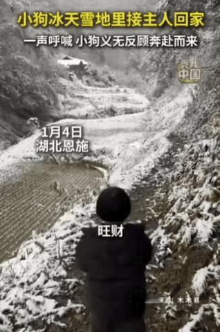 “被新华社点赞了！”湖北，一女子带女儿回老家，眼看快到村里了，女子大喊：“旺财，