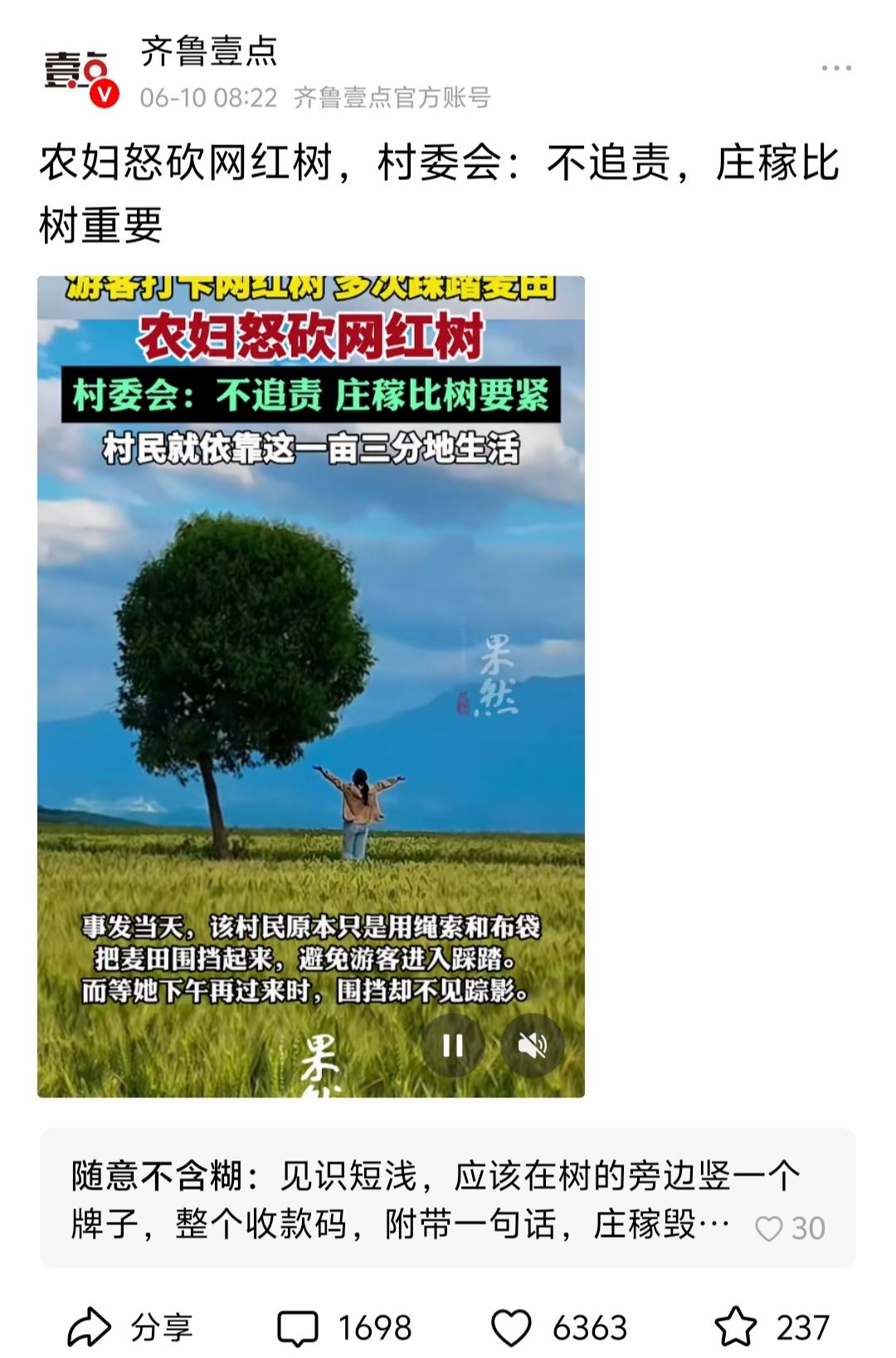 网红树被踩踏，农妇怒砍保庄稼！村委会：庄稼比树要紧，这“土味”操作太真实了！
