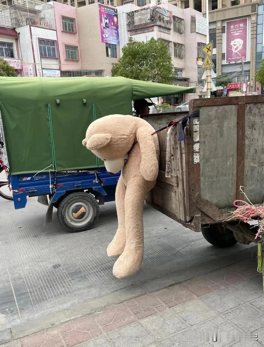 接儿子回家的路上，看到一只被主人丢弃的小熊，垂头丧气的被绑在垃圾车上。

儿子望