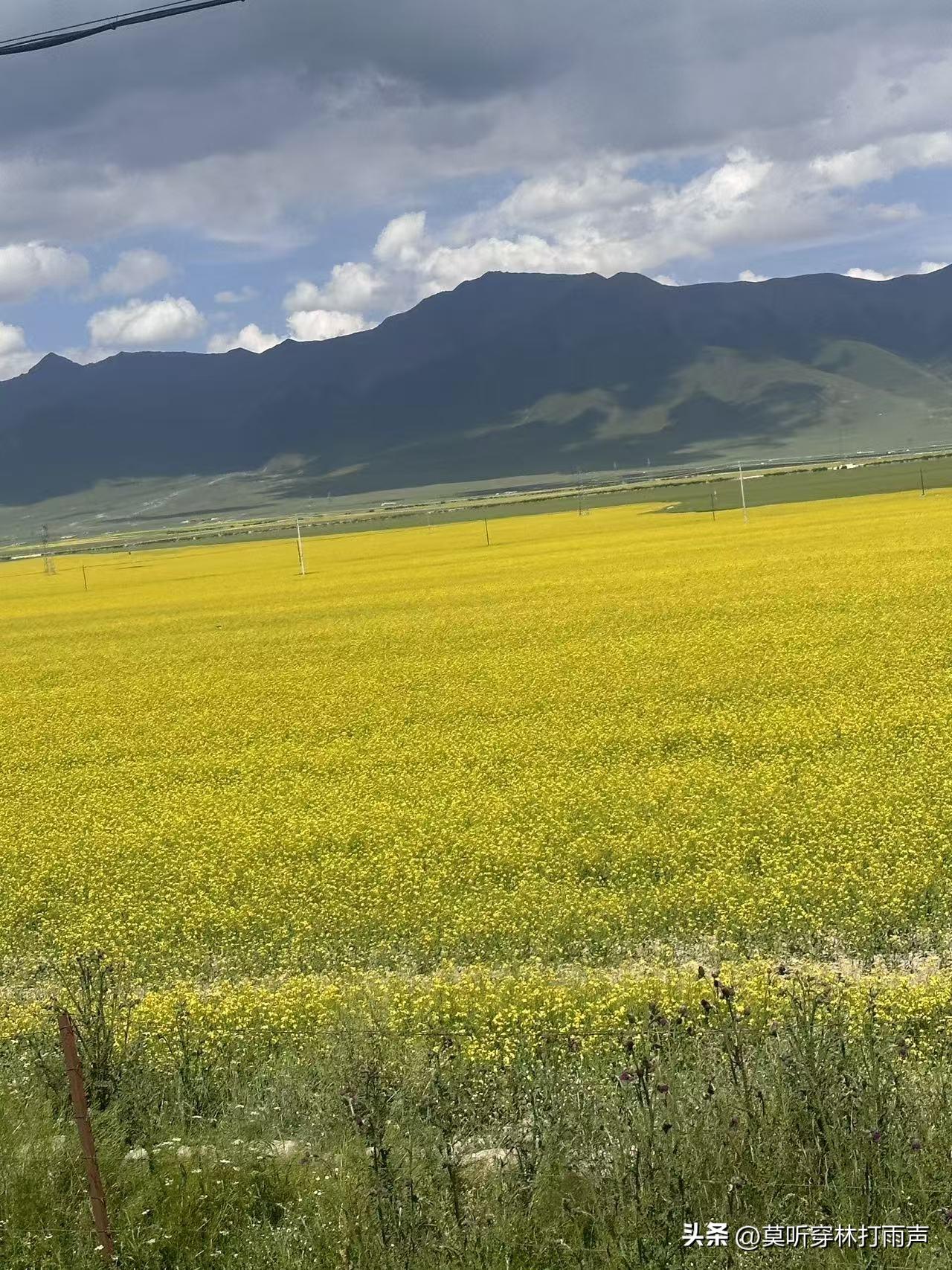 好几天没看股市了，今天一看股市行情实在是让股民高兴不起来啊！

说实话，牛市行情