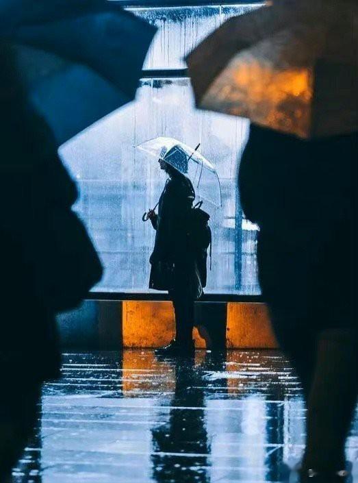 谁不是把自由卖了， 换成了柴米油盐。 人间非净土，各有各的苦。 ​​​