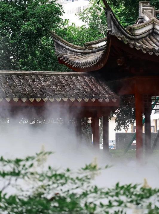 宁波海曙雾景太美随手拍都是大片 宁波海曙中山公园与月湖公园的雾森景观氛围感拉满，