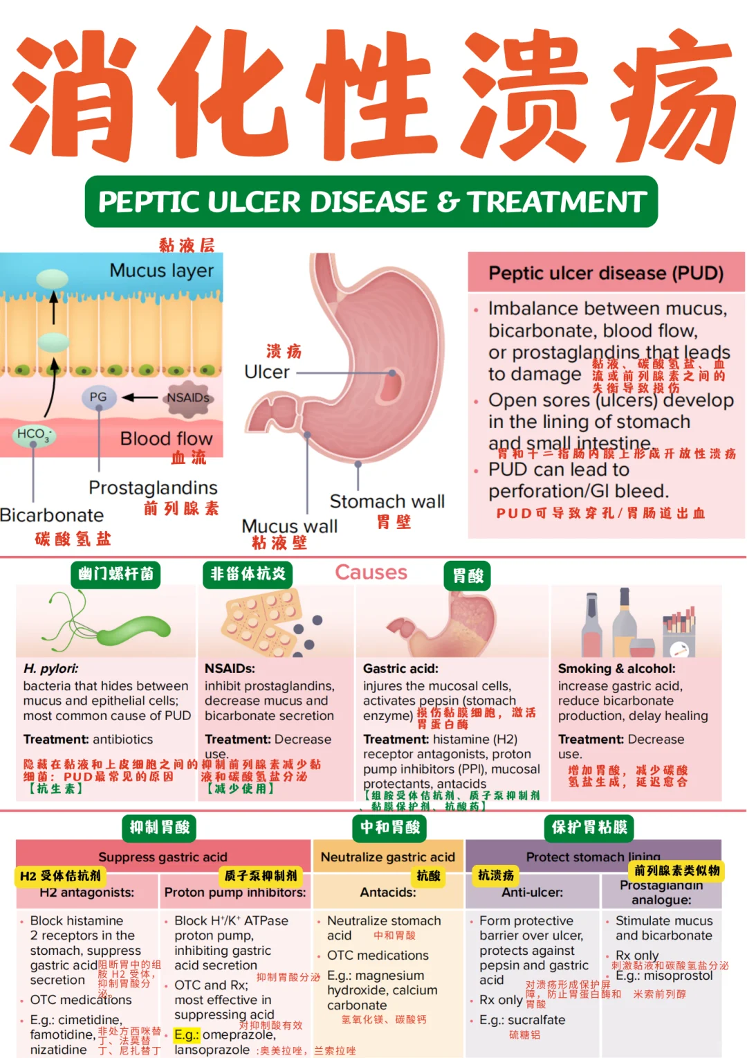 备考RN/消化性溃疡！！学！！单词