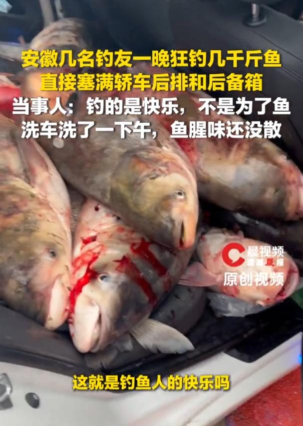 安徽钓友专门开车跑常州夜钓，鱼情好到离谱，整晚连竿根本停不下来

很多爱钓鱼的人