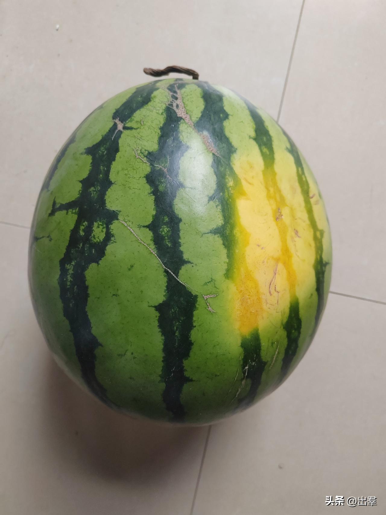 也不知道谁想出来送个西瓜给老父母的，现在好了，从年前放到年后，天这么冷，也没人吃