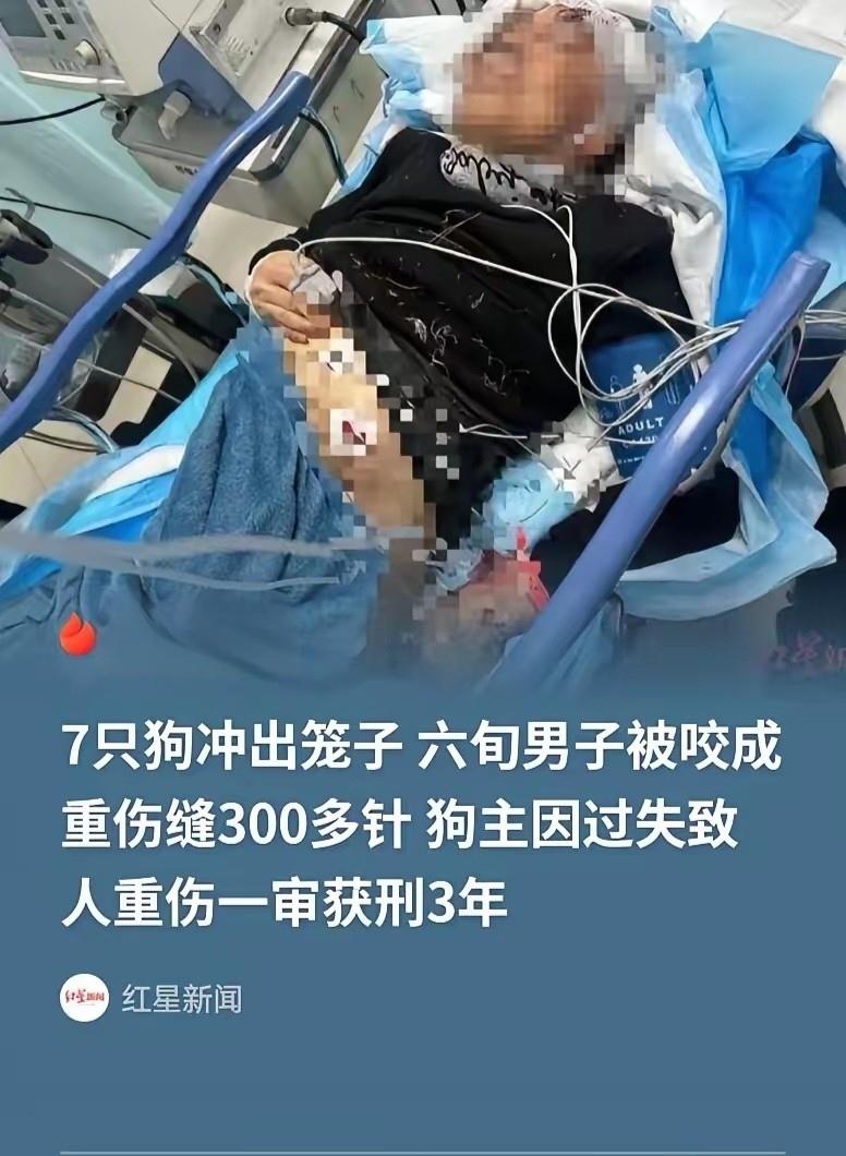 咎由自取！男子私养四十余只烈性犬疏于看管，恶犬出逃咬伤路人致重伤二级，获刑三年大