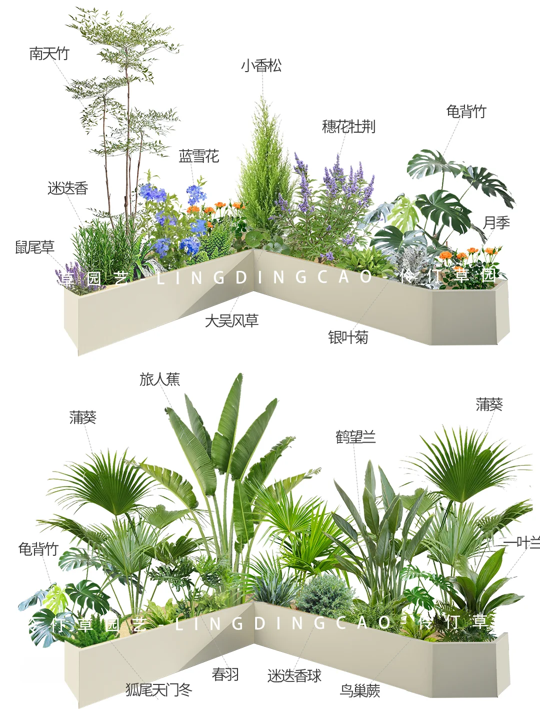 简单几步🌿拥有省心好养的阳台植物花园！