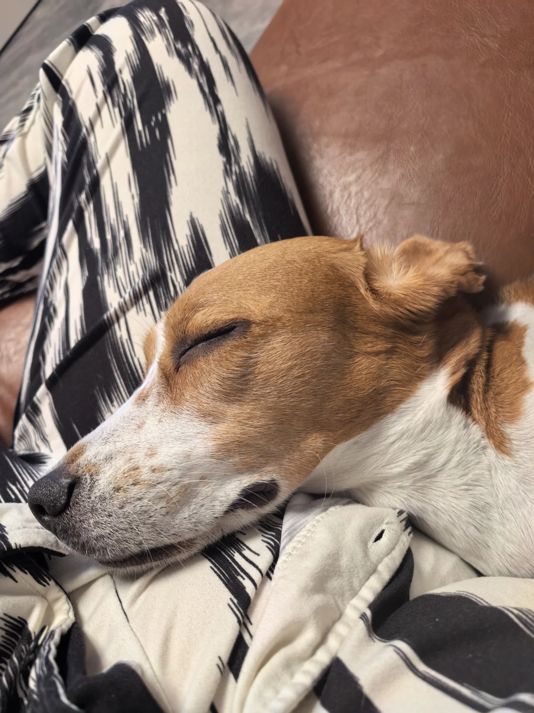 香香软软小蛋糕