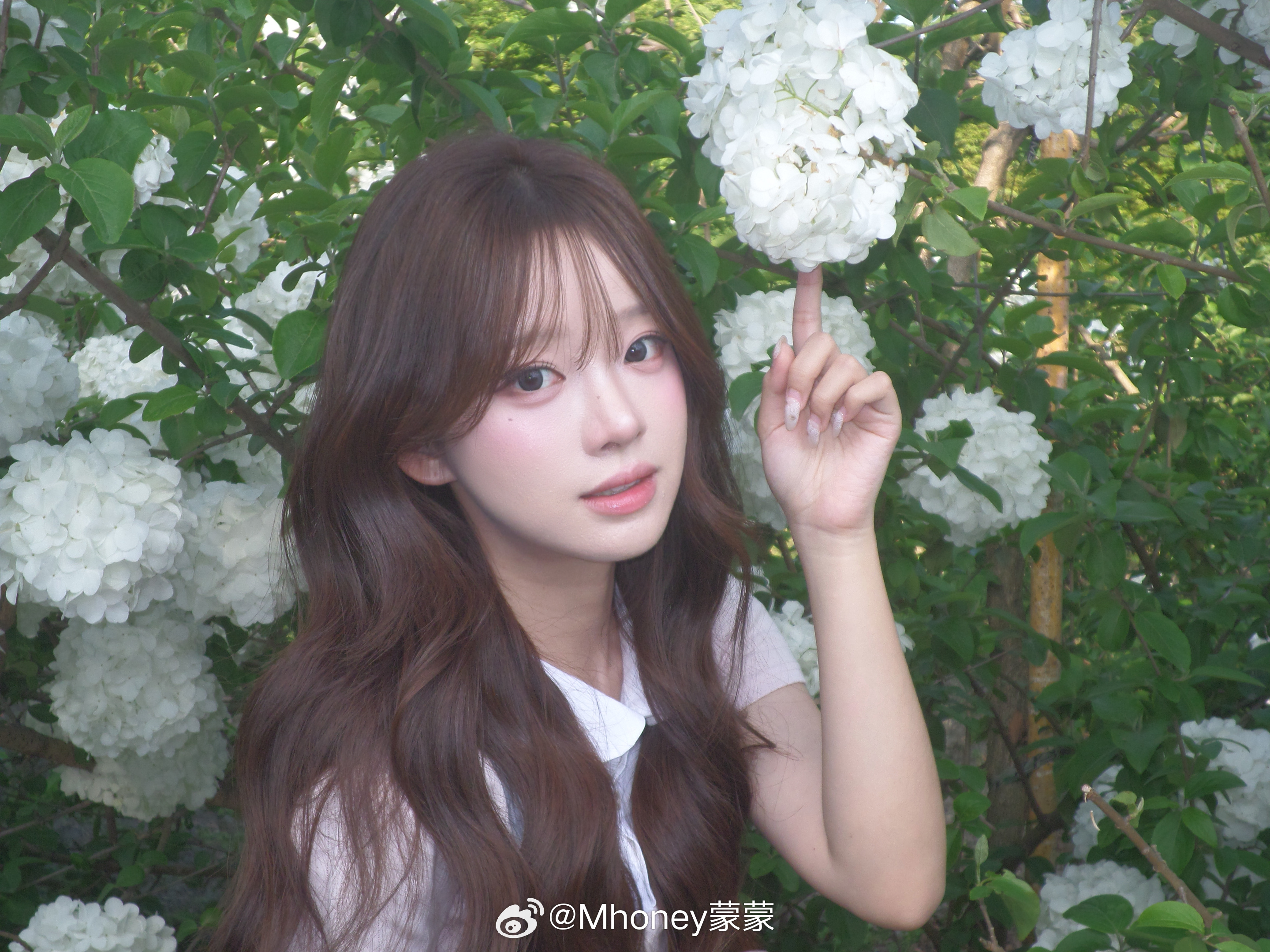 你爱我呀我爱你蜜雪冰城甜蜜蜜～～新买的ccd还挺好看📷！ 