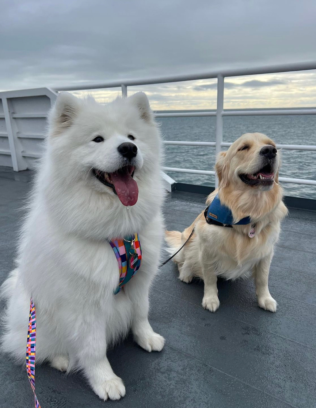 新招的两位船员看起来不大靠谱的样子 