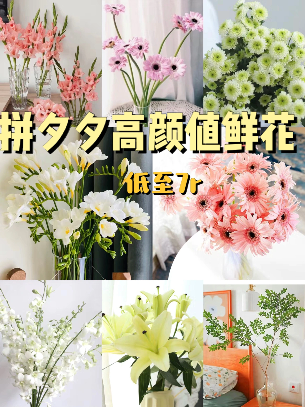 🌸8款拼夕夕高颜值鲜花|把春天藏在家里