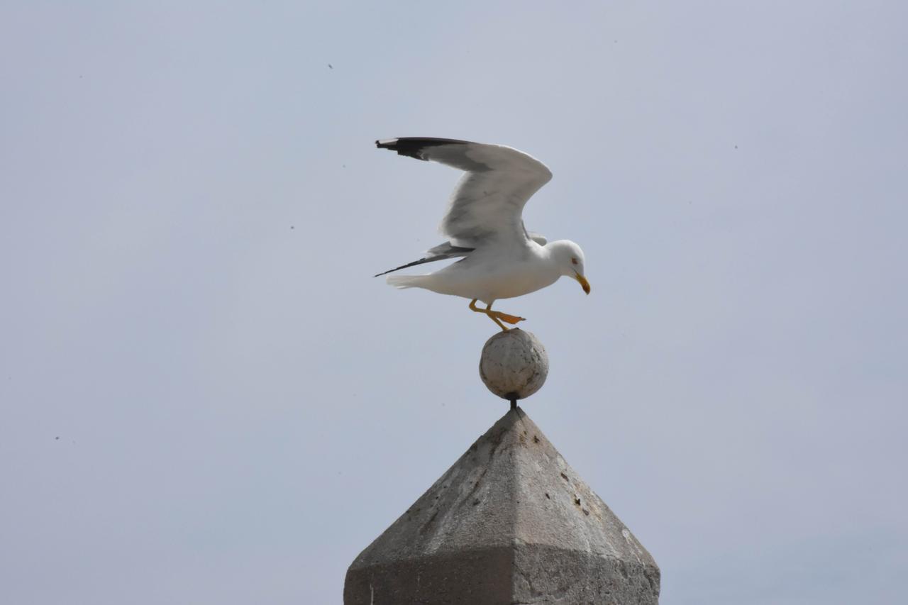 今晚，CBA2025-2026赛季常规赛将落下帷幕。有不少球迷对广州和北控谁能获