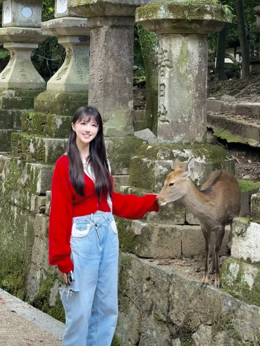 和小鹿🦌撞个满怀