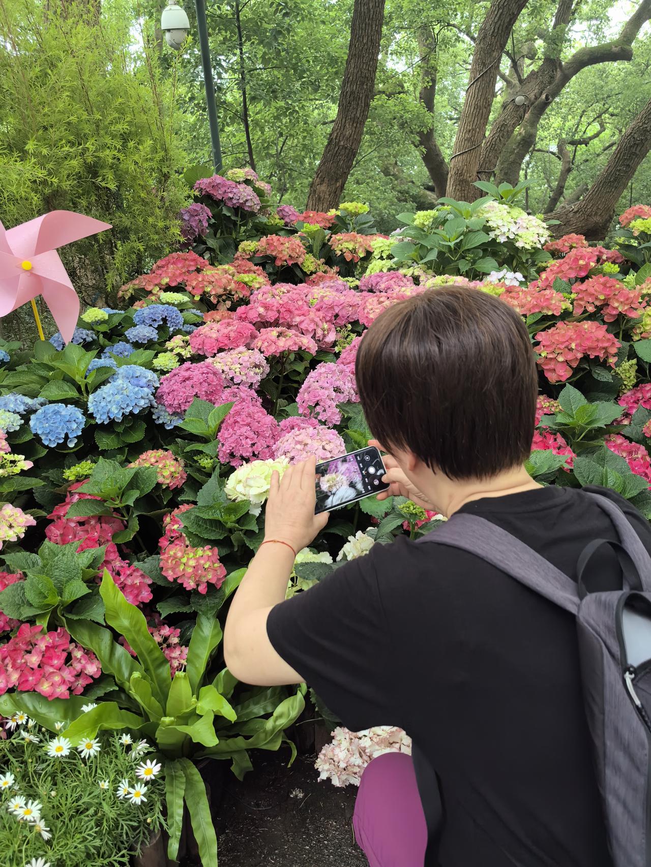 拍花的人